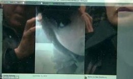 多伦多女留学生爆料视频,揭秘留学生活背后的真实困境